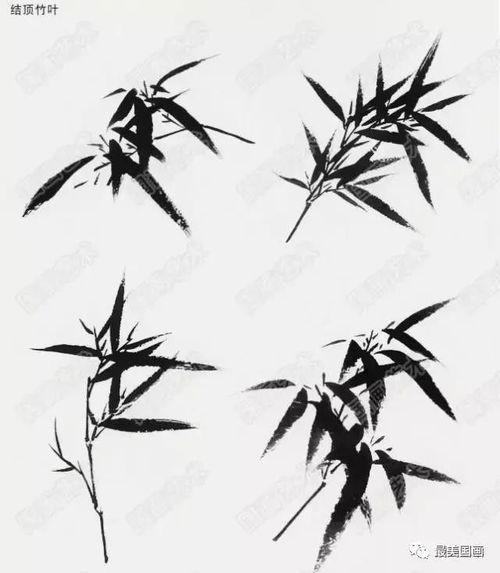 国画竹子教学视频,从零基础到竹韵盎然