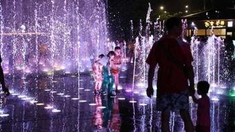 每天夜晚免费观看