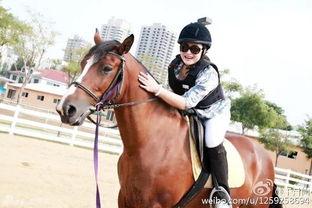 网红骑马爆料事件真相视频