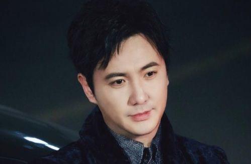 中年男明星相片,中年男明星风采依旧