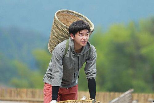 娱乐圈的吃瓜少年