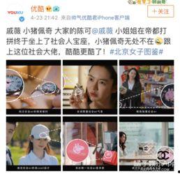 吃瓜猪娱乐视频